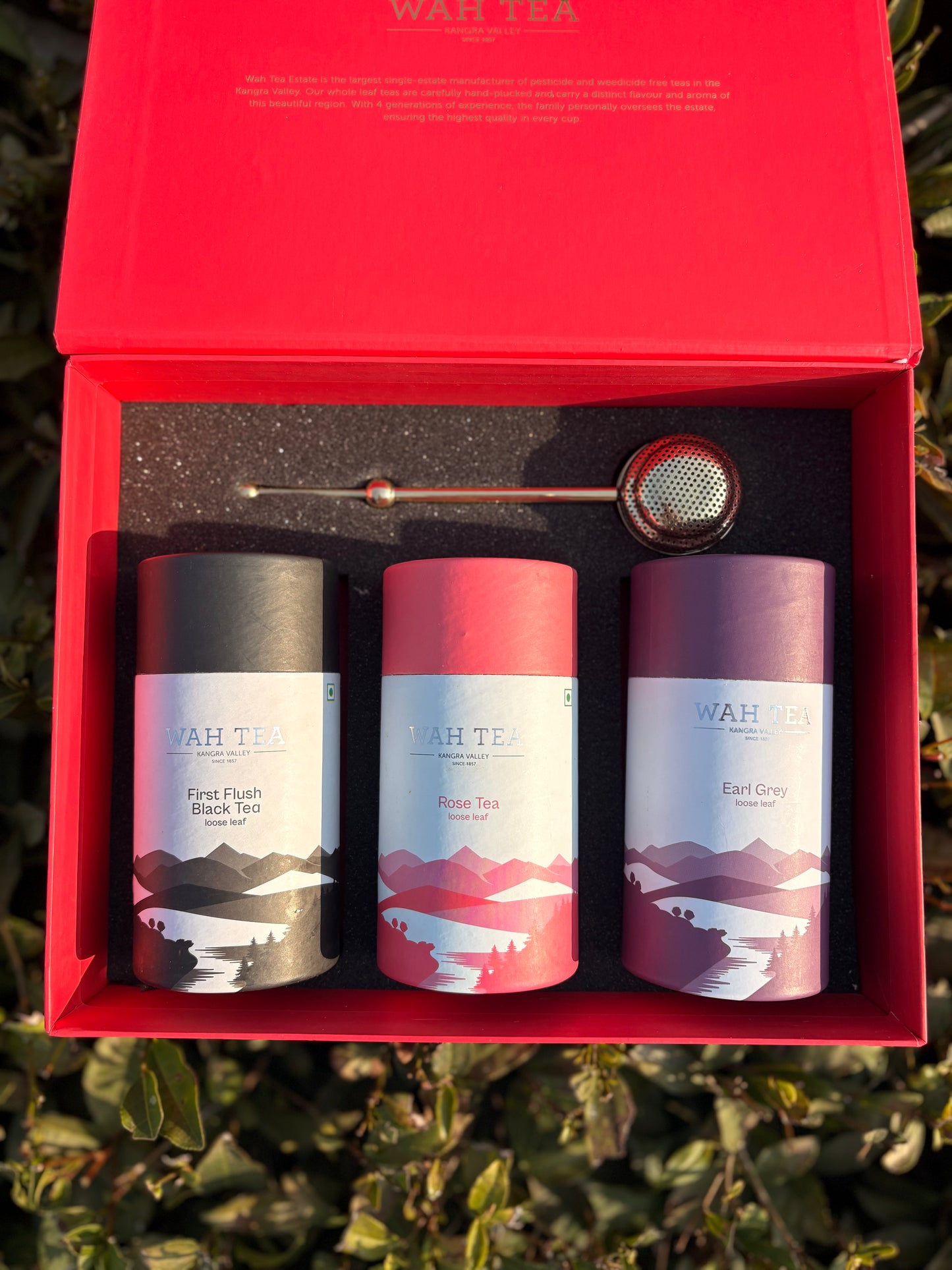 Timeless Treasures - Ruby Red