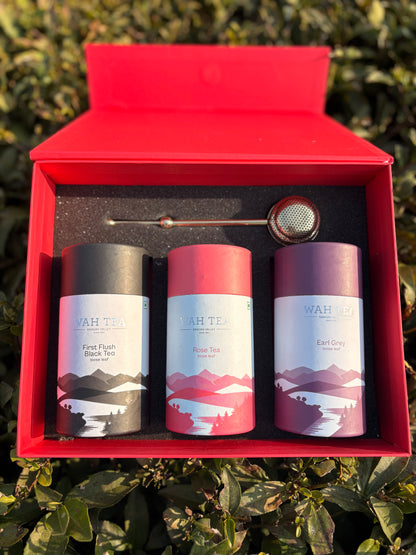 Three tea canisters in a red box with a tea strainer on a green leafy background