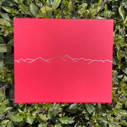 Timeless Treasures - Ruby Red